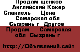 Продам щенков Английский Кокер Спаниель   › Цена ­ 2 000 - Самарская обл., Сызрань г. Другое » Продам   . Самарская обл.,Сызрань г.